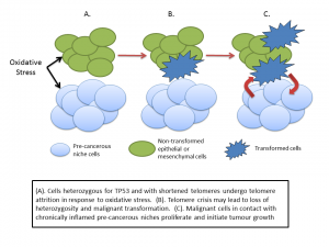 LFS_PCN_Fig3_revised